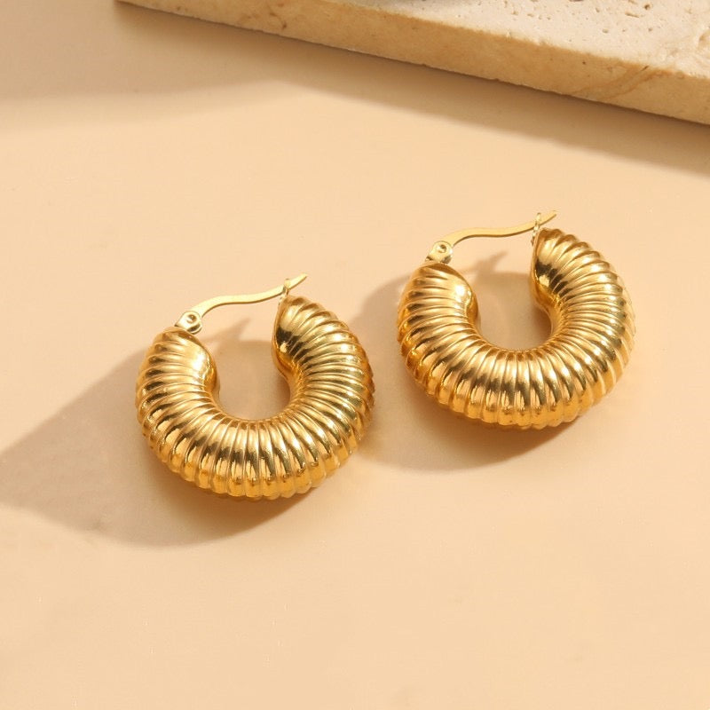 Earrings C
